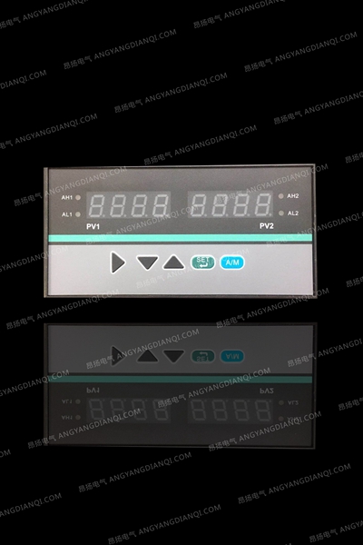 智能数字显示控制仪